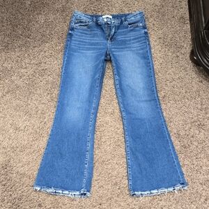 Flying Monkey Flare Jeans 31